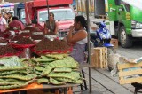 Predomina empleo informal en Oaxaca en 80.3% de trabajadores activos: INEGI