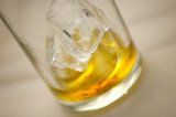 Alcoholismo provoca 2.5 millones de muertes al año en el mundo Alcoholismo provoca 2.5 millones de muertes al año en el mundo