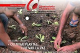 Observatorio Ciudadano publica Sexto reporte mensual