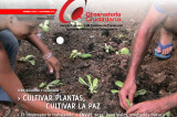Observatorio Ciudadano publica Sexto reporte mensual Observatorio Ciudadano publica Sexto reporte mensual