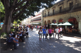 Oaxaca, con afectación grave en materia de seguridad: CIDAC