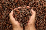 Se avecina la tercera edición de la Posada del Cacao