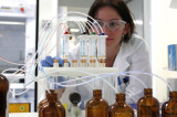 CONACYT convoca a realizar Investigación Científica Básica CONACYT convoca a realizar Investigación Científica Básica