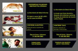 Cajetillas de cigarro tendrán nuevos gráficos contra su consumo Cajetillas de cigarro tendrán nuevos gráficos contra su consumo