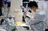 Investigadores japoneses ofrecen apoyo para proyectos científicos internacionales