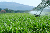 Agroparques