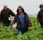 MIGRACIÓN: 1,203,680 paisanos de Oaxaca viven en Estados Unidos