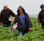 MIGRACIÓN: 1,203,680 paisanos de Oaxaca viven en Estados Unidos MIGRACIÓN: 1,203,680 paisanos de Oaxaca viven en Estados Unidos