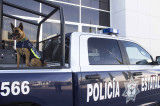 Ocurre un secuestro cada 8.3 días en Oaxaca #Infografía Ocurre un secuestro cada 8.3 días en Oaxaca #Infografía