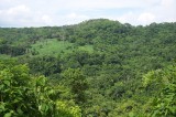 Inicia campaña nacional de reforestación en México