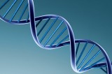 ADN, último recurso en identificación de restos