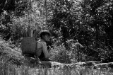 Trabajo Infantil Agrícola en Oaxaca Trabajo Infantil Agrícola en Oaxaca