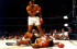 DEPORTES: Así reaccionó la comunidad intelectual ante la muerte de Muhammad Ali DEPORTES: Así reaccionó la comunidad intelectual ante la muerte de Muhammad Ali