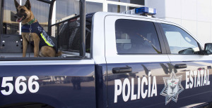 Policía-Por GobOax