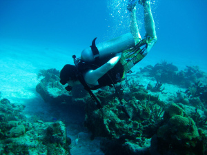 Cozumel - Seth Bienek