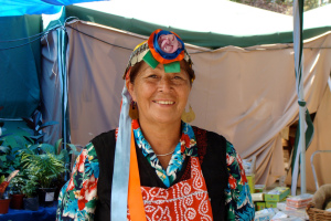 Mapuche - pt.wikipedia.org