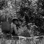 Trabajo Infantil Agrícola en Oaxaca