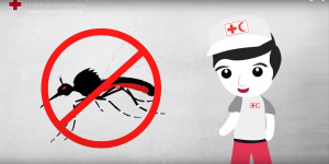Prevencion chikungunya @Cruz Roja Guayas