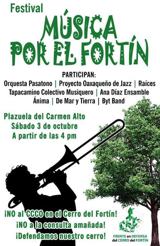 Festival Música por el Fortín