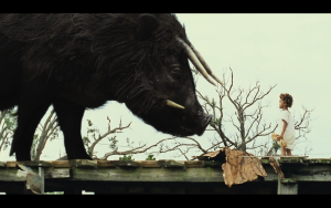 Beast of the Southern Wild
