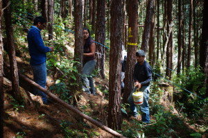 Comunidades-conservación-bosques