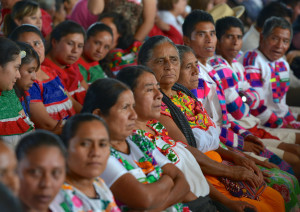 Pueblos-indígenas-por-@presidencia de la república